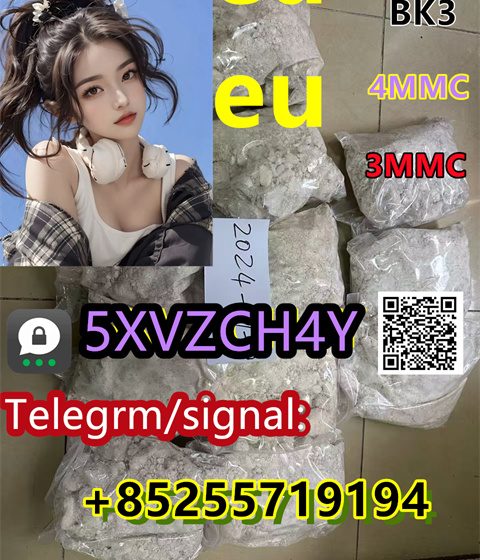 微信图片_20241119163609