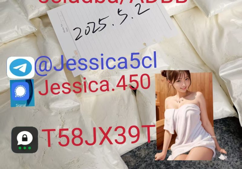 微信图片_20250510155401-1