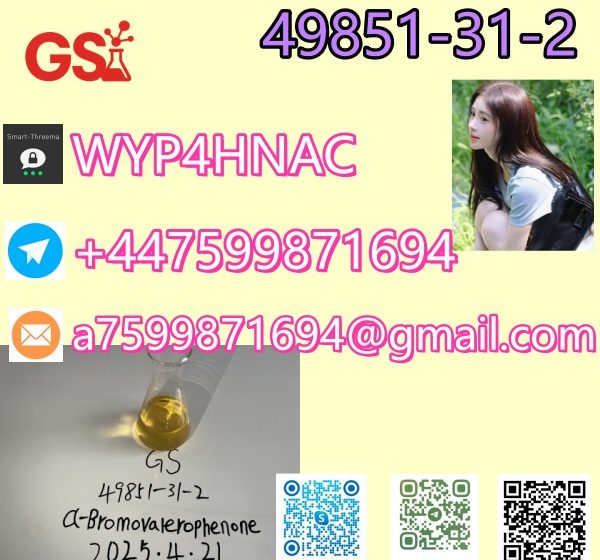 阿尔法_副本3